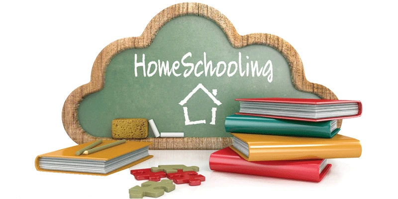 Homeschooling Bali Internasional Fleksibel untuk Pendidikan Global
